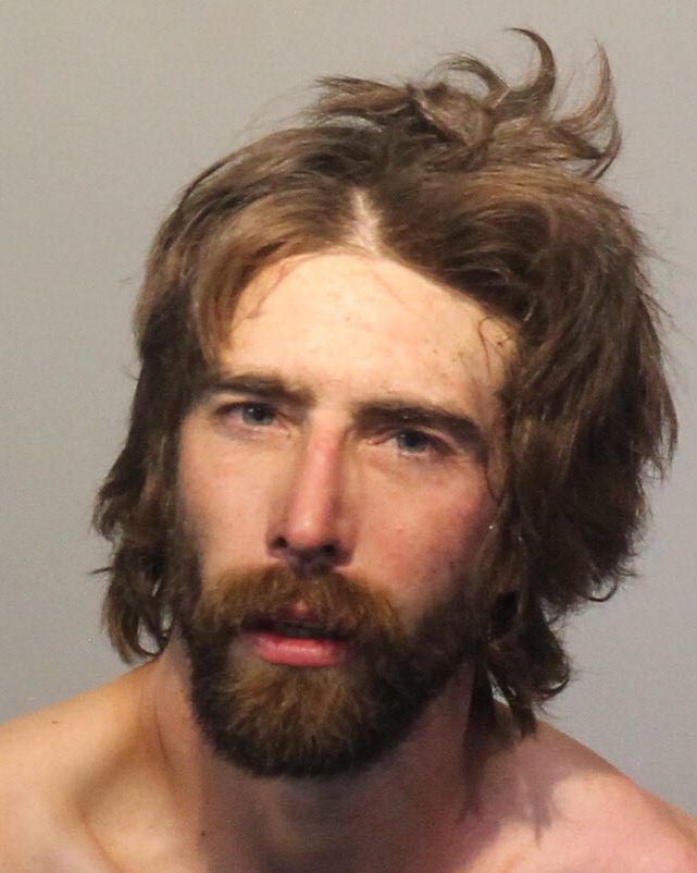 carjacking-k9-apprehend-John-Steele-mug.jpeg