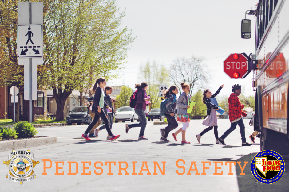 school-pedestrian-safety.png